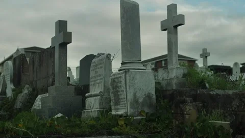 Family plot from 19th century dolly shot 4K Vídeos de archivo 277017441