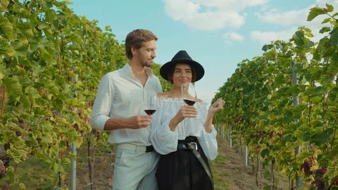 Family portrait of beautiful fashion man and woman tasting red wine enjoying Stock Footage
