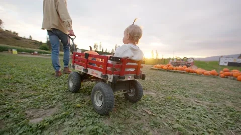 Family at pumpkin patch, father pulling daughter in wagon 库存影片 219405342