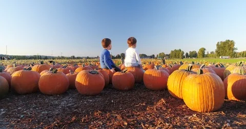Family Pumpkin patch Stock Footage 95730807