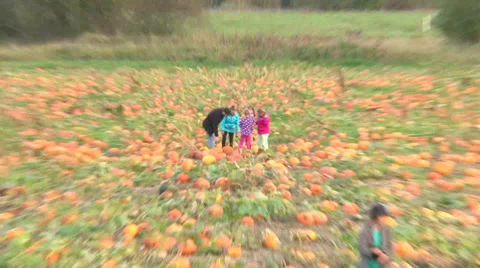 Family at Pumpkin Patch Zoom Out 스톡 동영상 31908114