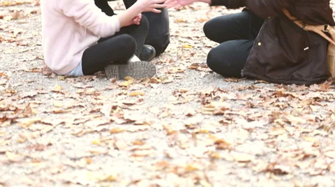 Family sitting on pathway in park and talking Stock Footage 59554321