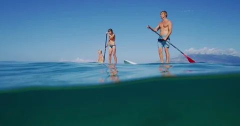 Family Stand Up Paddle Boarding Stock Footage