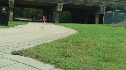 A Family Stroll Stock Footage 43068130
