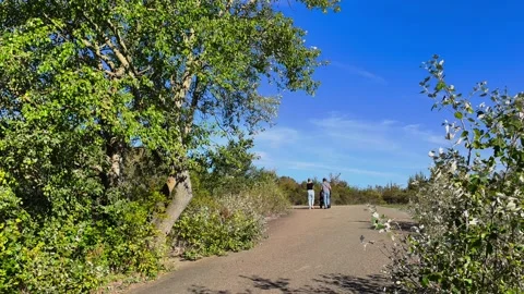 Family with stroller walking on park path Video stock 346712729
