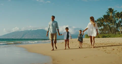 A Family Sunset Stock Footage 142911496