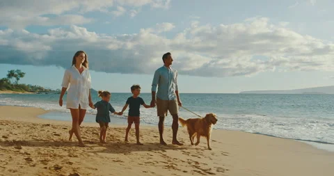 A Family Sunset Stock Footage 142912220