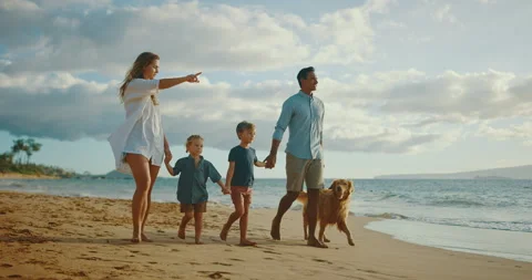 A Family Sunset Stock Footage 142912958