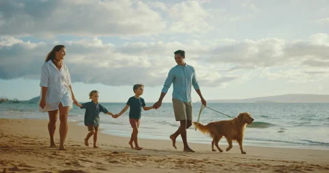A Family Sunset Stock Footage 142913868