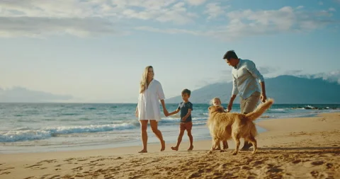 A Family Sunset Stock Footage 142916067