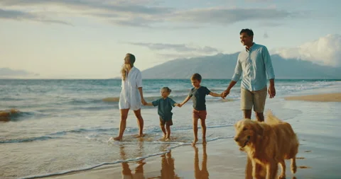 A Family Sunset Stock Footage 142916948