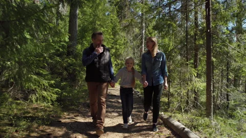 Family of three walking on path in coniferous forest and talking Stock Footage 195349212