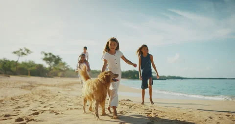 Family Time Stock Footage 139428895