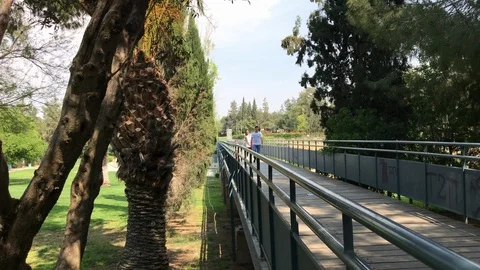 Family walk at the Park Stock Footage 89943775