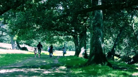Family walking along path through field Stock Footage 40496352