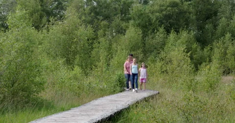 Family walking bat bridge national park Netherlands 4K Stock Footage 54108341