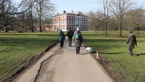 Family walking  down path with dogs Stock Footage 86289060