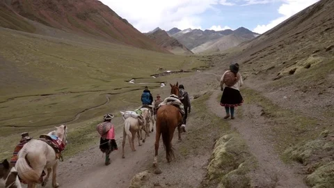 Family walking on the mountains Stock Footage