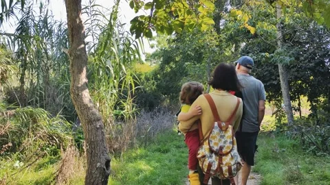 A family walking through a forest path shot from behind Stock Footage 221554325