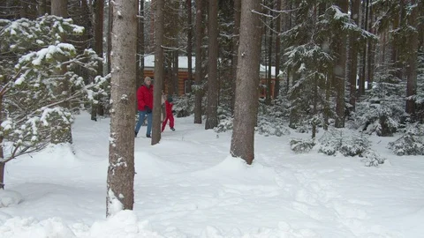 Family walks through the forest in snowfall Stock Footage 129097495