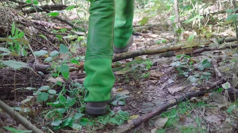 Family wanders through the forest only the legs Stock Footage 96072929