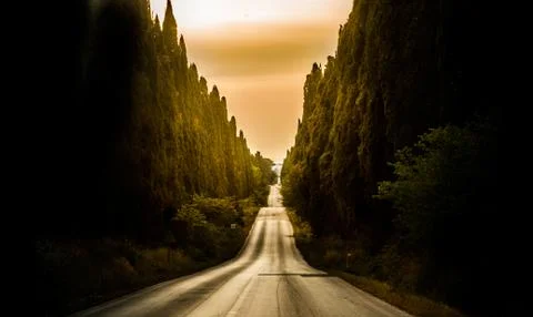The famous Bolgheri road with cypresses Stock Photos