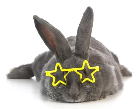 Famous bunny Stock Photos