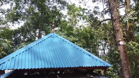 A Famous Chhintang Devi Temple , Dhankuta Nepal Stock Footage 306213801