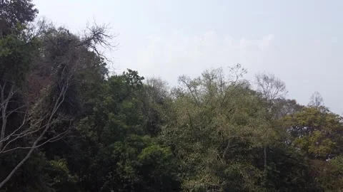 A Famous Chhintang Devi Temple , Dhankuta Nepal Stock Footage 306214549