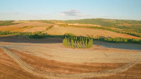 Famous circle of cypress trees in the field close to  San Quirico d´Orcia 動画素材 138420692