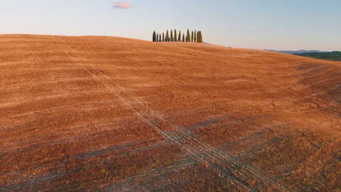 Famous circle of cypress trees in the field close to  San Quirico d´Orcia Video stock 138420835