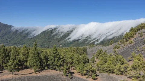 Famous cloud waterfall at the island of La Palma Vídeo Stock 120598536