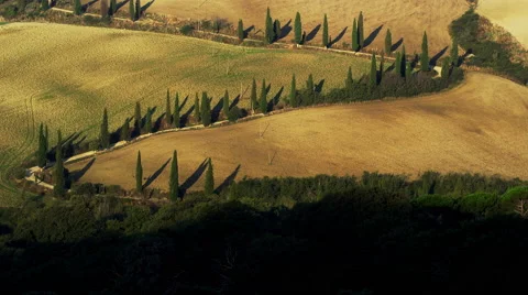 Famous Driveway Tuscany Road Vinyard Italy 4K Stock Video Footage 스톡 동영상 59129982