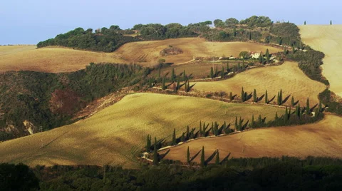 Famous Driveway Tuscany Road Vinyard Italy 4K Stock Video Footage Stockbeeldmateriaal 59130048