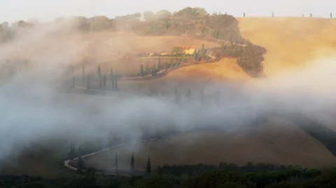 Famous Driveway Tuscany Road Vinyard Italy 4K Stock Video Footage 스톡 동영상 59131303