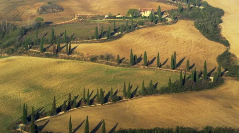 Famous Driveway Tuscany Road Vinyard Italy 4K Stock Video Footage 스톡 동영상 59131415