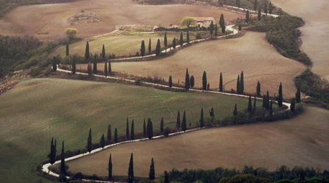 Famous Driveway Tuscany Road Vinyard Italy 4K Stock Video Footage 스톡 동영상 59131417