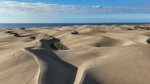 The Famous Dune Fields of Maspalomas Vidéo 341250363