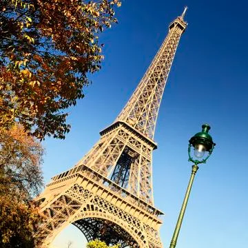Famous eiffel tower and trees in paris Stock Photos