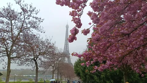 Famous Eiffel Tower landmark in Paris, France Video stock 342395169