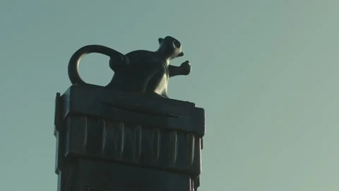 Famous Hartlepool Monkey. 스톡 동영상 136670787