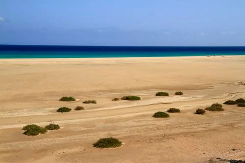 The famous lagoon in Risco El Paso at Playas de Sotavento, Fuerteventura Stock Photos