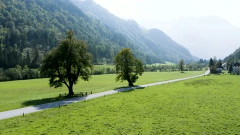 Famous Logar Valley With Huge Logar Linden Trees and Tourist Traditional Farm. Видео 210773485