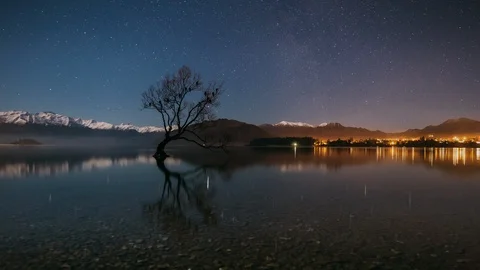 Famous Lone Wanaka Tree Stockbeeldmateriaal 113497009