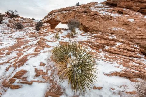 Famous Mesa Arch Stock Photos