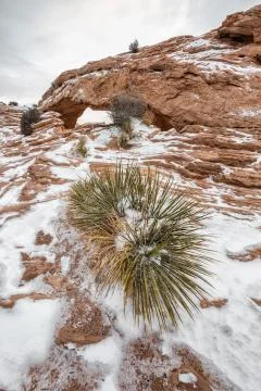 Famous Mesa Arch Stock Photos
