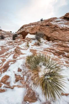 Famous Mesa Arch Stock Photos