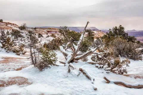 Famous Mesa Arch Stock Photos