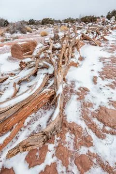 Famous Mesa Arch Stock Photos