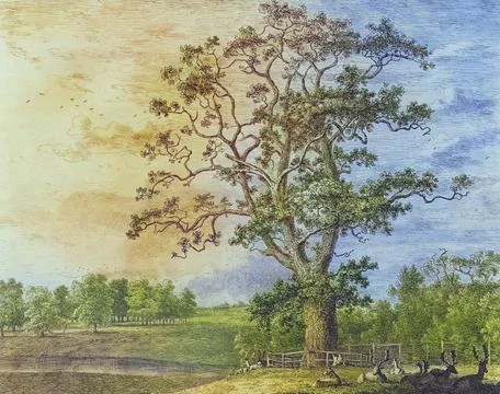 Famous old trees, The Beggar's Oak was a large tree that stood on the Bagot Stock Illustration
